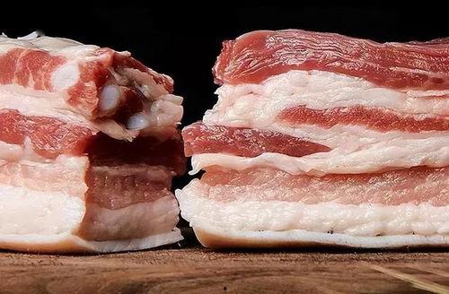 娱乐吃瓜酱吃猪肉视频,猪肉视频背后的趣味真相 第2张 娱乐吃瓜酱吃猪肉视频,猪肉视频背后的趣味真相 第2张