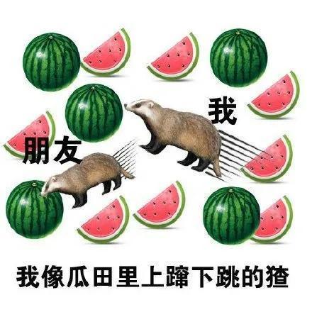 娱乐吃瓜猹,揭秘“吃瓜猹”背后的故事 第3张 娱乐吃瓜猹,揭秘“吃瓜猹”背后的故事 第3张